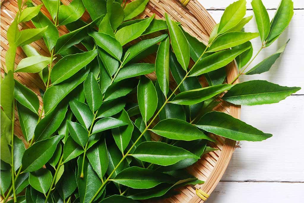 Benefits-of-Curry-leaves