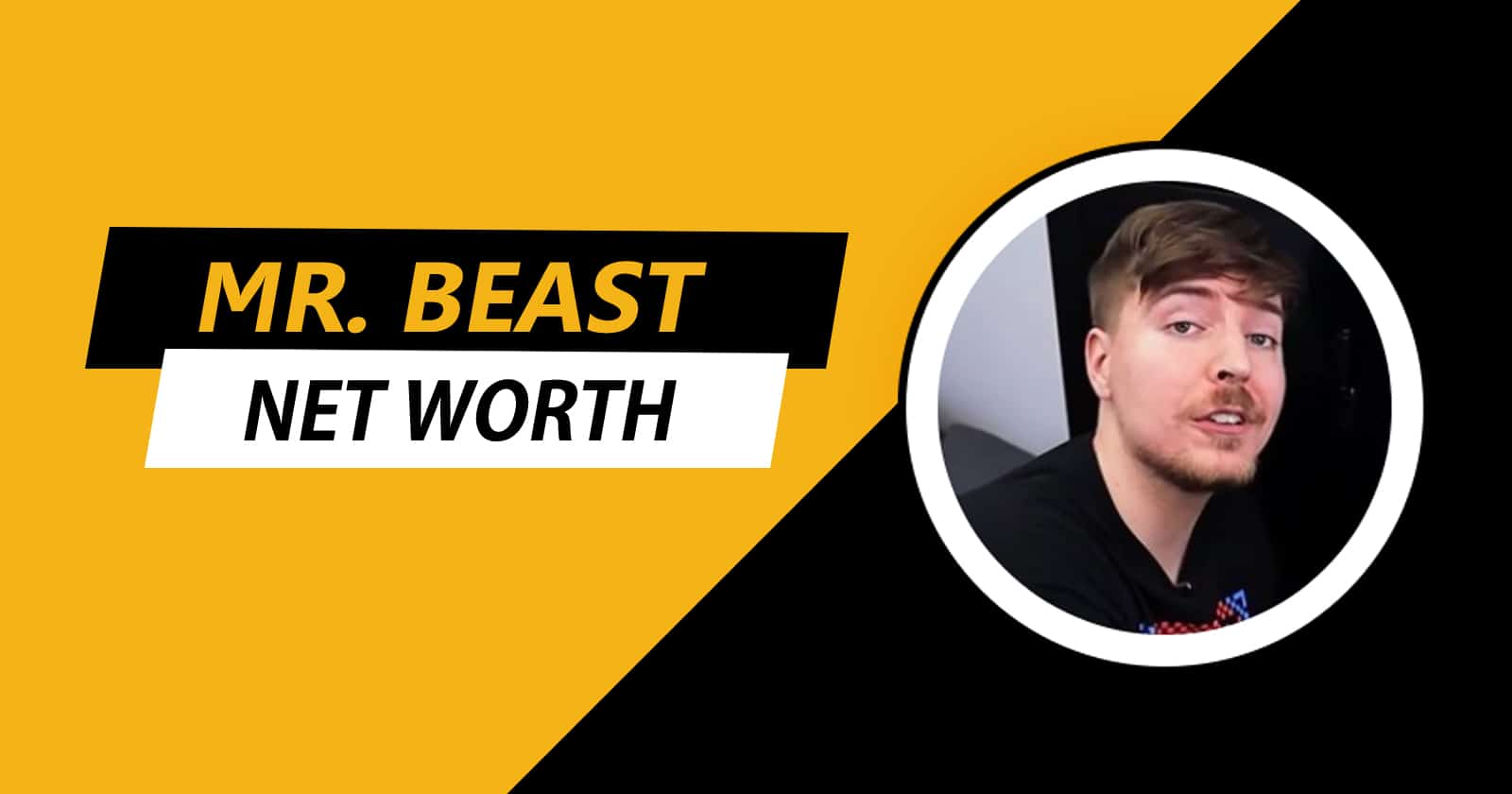 Mr beast net worth