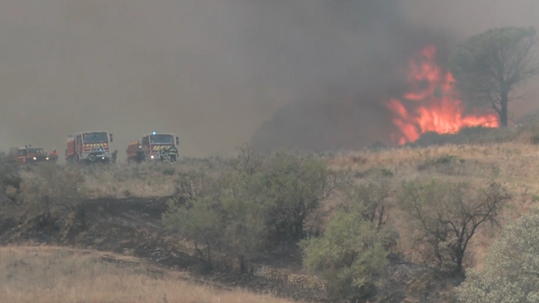 fire in forest