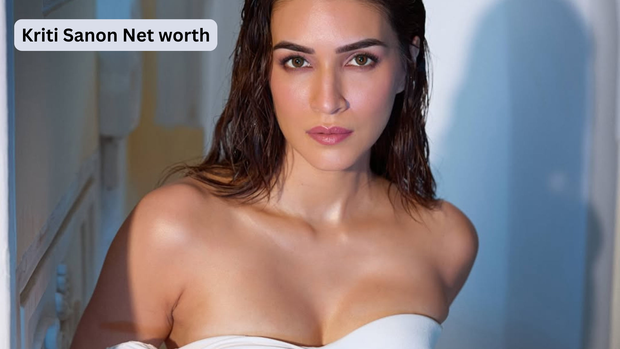 ₹84 करोड़ का पेंटहाउस खरीदने वाली Kriti Sanon की कुल संपत्ति कितनी है? जानिए कमाई के सोर्स