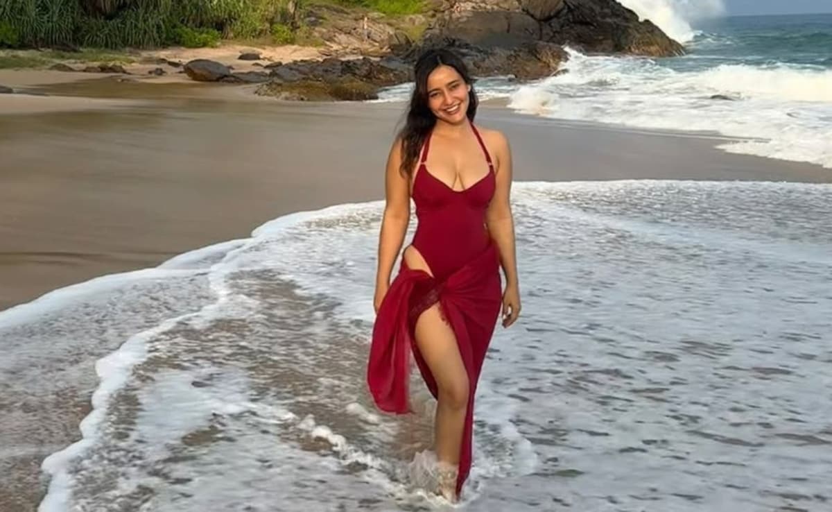 Neha Sharma net worth 2025