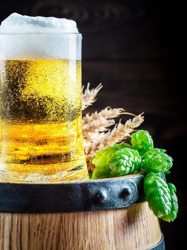 यहां पानी से भी सस्ती है बीयर! 🍺 जानिए कौन-सा देश है Beer Lover’s No.1